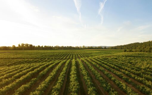 Divorce in Weld County, Colorado: What Families of Farms and Ranches Need to Know